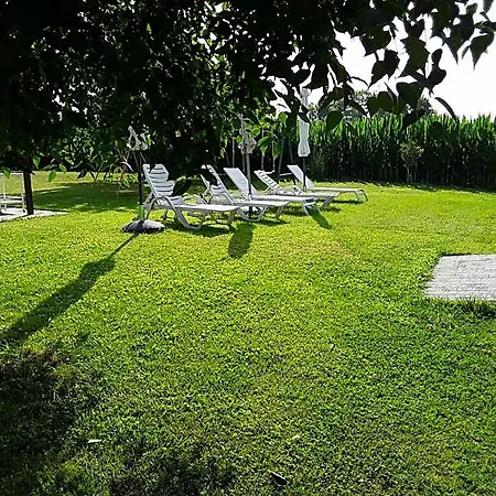 Pivi 3*