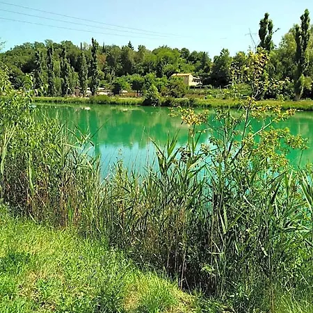 Pivi