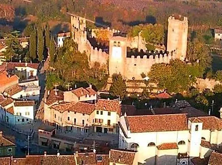 Pivi