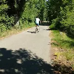 Pivi Ponti sul Mincio
