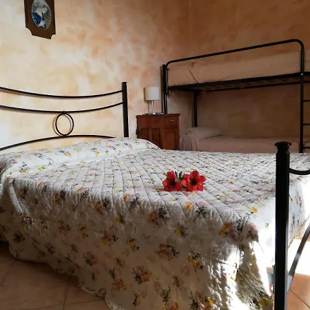 Pivi 3*